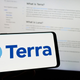 Image for article titled Internationally Hunted Terraform Labs Co-Founder Do Kwon Says He’s ‘Making Zero Effort To Hide’
